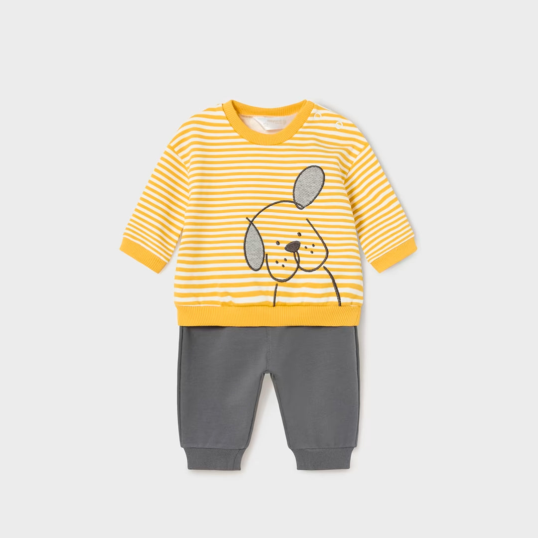 Conjunto Punto Perrito Mayoral