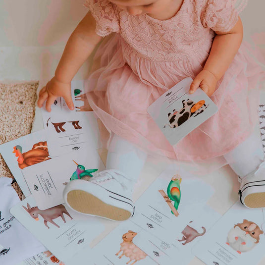 Juego de cartas didácticas y educativas aprendizaje - Kocodio