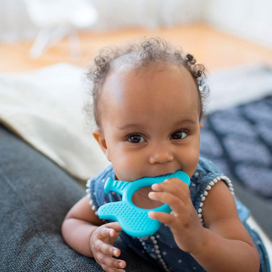 Rascaencias congelable en silicona 100% libre de BPA, mordedor en silicona suave para bebé, con texturas para estimulación táctil, formas y colores lúdicos, ideal para refrescar - Dr Brown's