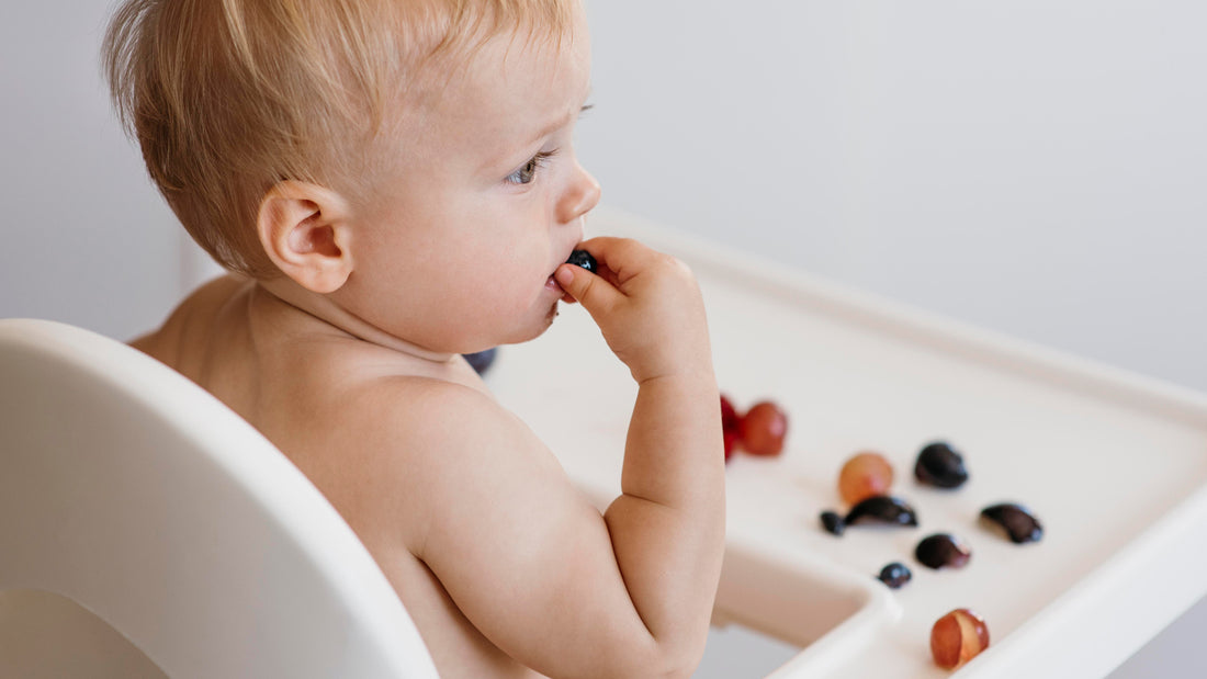 Alimentación complementaria guiada por tu bebé: Baby Led Weaning.