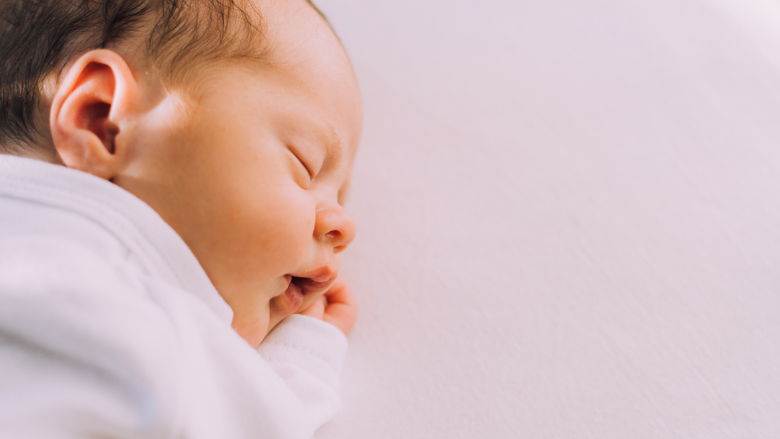 bebe_reciennacido_coccoylolo_mama_desarrollo