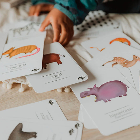 Juego de cartas didácticas y educativas aprendizaje - Kocodio