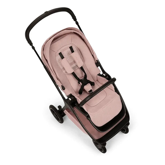Thistle